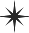 noun_Star_4119439-2